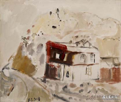 ���� �췿��  �����ͻ�  50��60cm  2009��