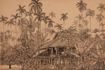13¥  3953cm  ֱʻ  70
