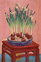 9ˮɻ  8262cm ز 1964