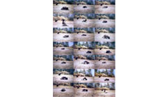  յ2008 Ƭ 120 x 180cm 21