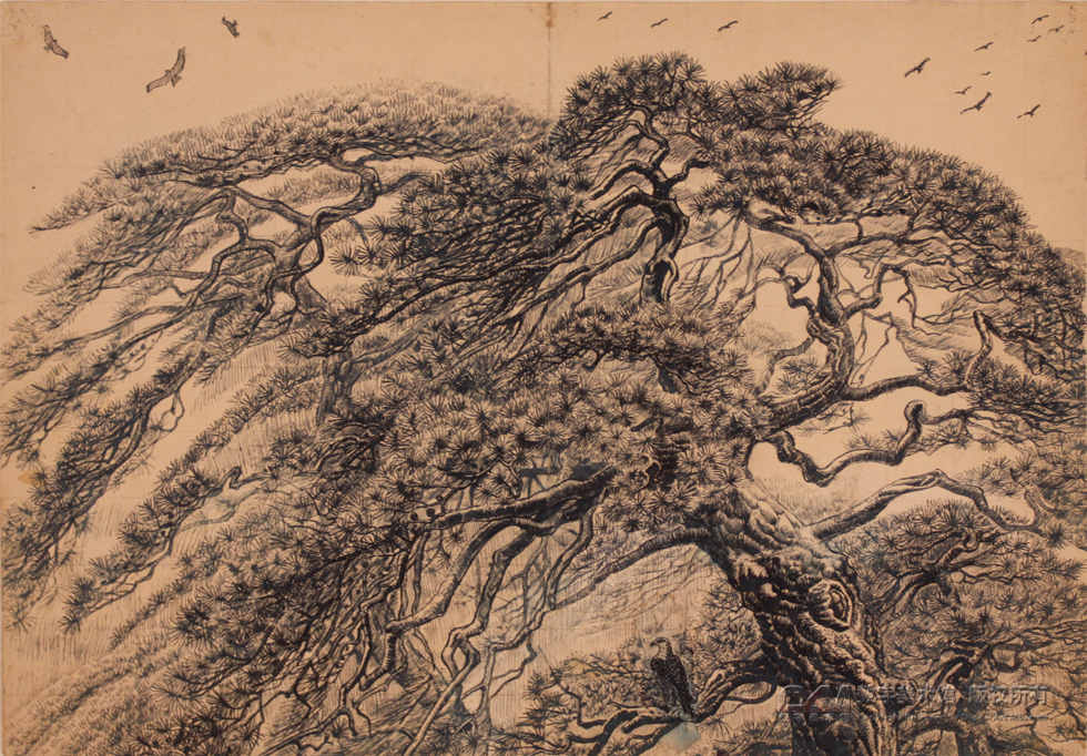 12，松涛  39×53cm  钢笔画  70年代
