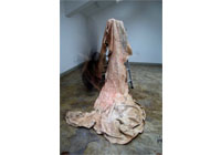 Сʢ 轺 170120320cm 2009