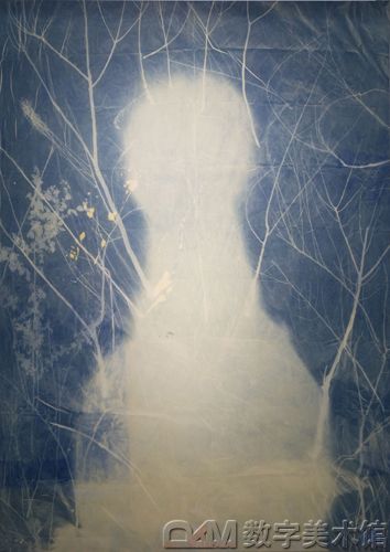 Ŵ4.ƽ.޲ɹ 360260cm 2011