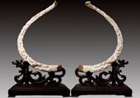 ������ �������������ܡ� �������� 40�����2