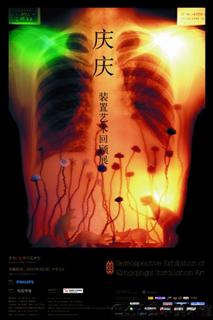 庆庆装置艺术回顾展