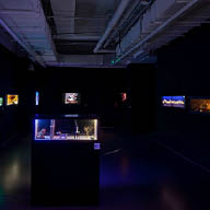 Retrospective Exhibition of Qingqing’s Installatio